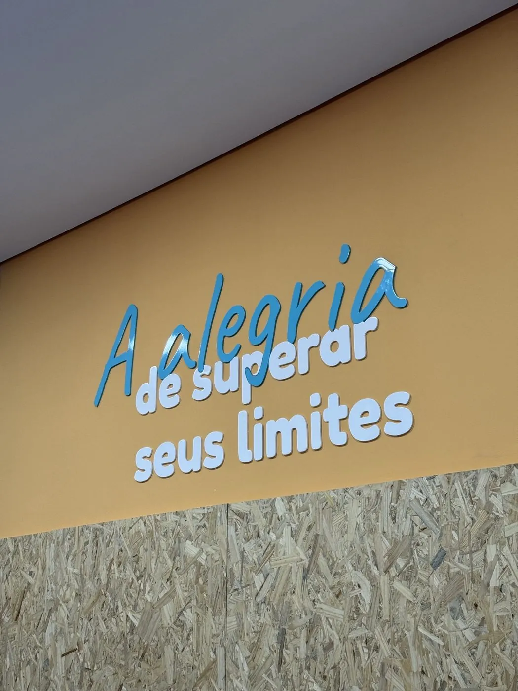 Frase motivacional em letra caixa na academia Flip!, por D'Caris